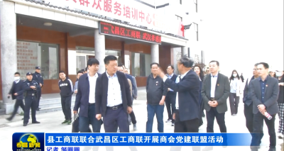 县工商联联合武昌区工商联开展商会党建联盟活动