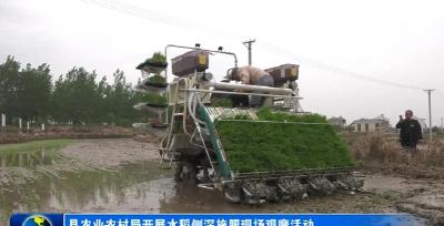 县农业农村局开展水稻侧深施肥现场观摩活动