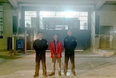 上坟烧纸引发火灾，行政拘留十五日！