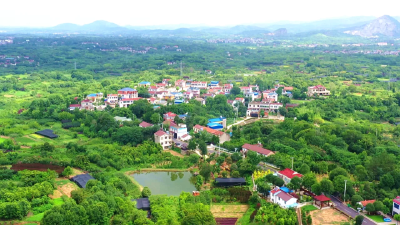 孝昌：“院景”变“钱景”  乡村“大振兴”