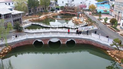 修得好 建得美 孝昌有一座让全村人点赞的“五共”桥