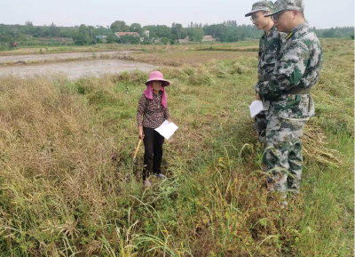 孝昌卫店：秸秆禁烧 民兵在行动