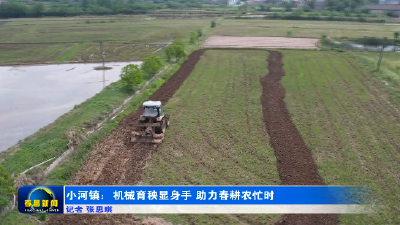 小河镇：机械育秧显身手  助力春耕农忙时