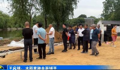 王店镇：水稻育秧全面铺开