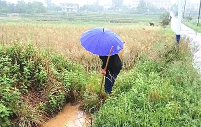 孝昌季店：蓄水抗旱 保障生产生活用水