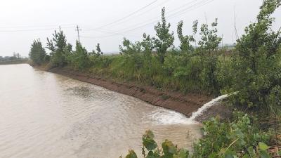 孝昌花西：巧留客水 备战夏耕