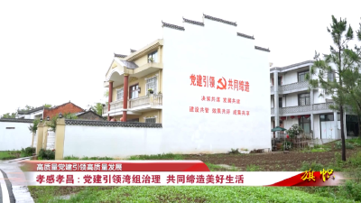 湖北电视台《旗帜》栏目聚焦孝昌：党建引领湾组治理 共同缔造美好生活