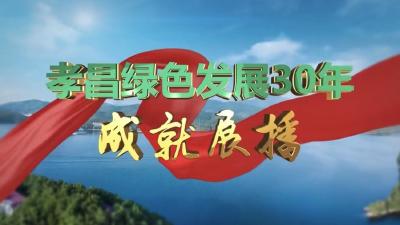 绿色崛起·砥砺孝昌30年 | 孝昌：实施工业强县战略  为高质量发展蓄势赋能