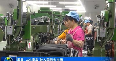 孝昌：“小童车”驶入国际大市场