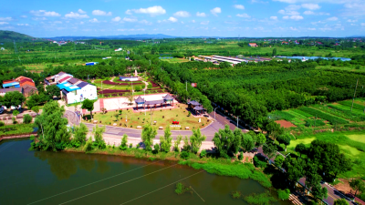 天天“不熄火” 享受好“食”光——解锁孝昌县新岗村幸福食堂的“幸福密码”