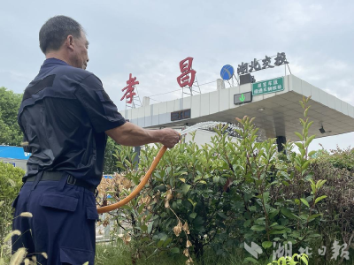 孝昌：防暑降温 他们有“凉”策