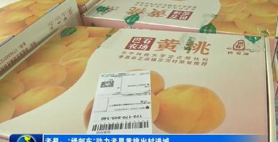 孝昌：“绿邮车”助力黄桃出村进城