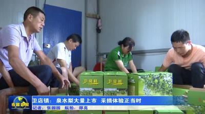 卫店镇：泉水梨大量上市 采摘体验正当时
