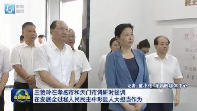 王艳玲在孝感市和天门市调研时强调  在发展全过程人民民主中彰显人大担当作为