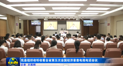 我县组织收听收看全省第五次全国经济普查电视电话会议