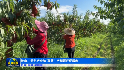 孝昌陡山：特色产业结“富果” 产销两旺促增收