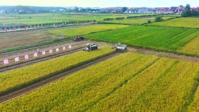 2023年8月28日《孝昌新闻》播出版