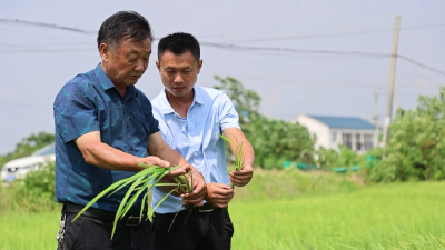 我在家乡挺好的∣刘凯宙：奋斗就是青春的底色