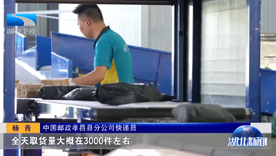 湖北卫视聚焦孝昌：接“头”连“尾”的农村寄递物流