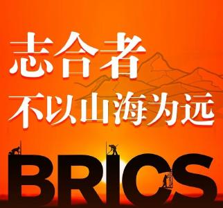 跟着习主席看世界｜独木不成林 习主席金砖话“共赢”