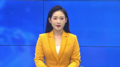 大悟县党政代表团来我县考察