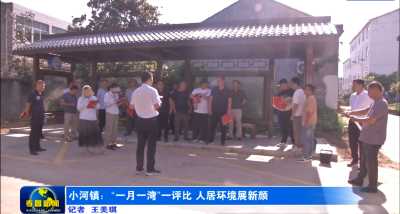 小河镇：“一月一湾”一评比  人居环境展新颜