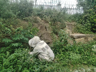 孝昌观音湖：民警变身“清蜂侠” 成功“捅”了马蜂窝