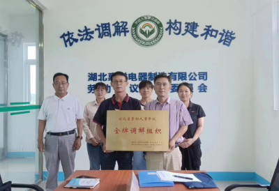 孝昌县成立首家“省级金牌调解组织”