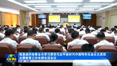 我县组织收看全市学习贯彻习近平新时代中国特色社会主义思想主题教育工作电视电话会议