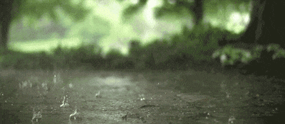 注意防范！暴雨、大风天气要来了