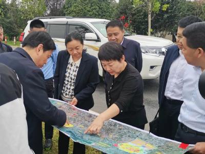 市领导调研武汉都市圈环线高速孝感北段项目建设