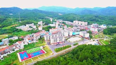 孝昌小悟乡：以“小切口”撬动乡村大变化