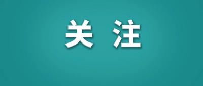 1781个账号，被处置！