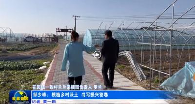 邹少峰：根植乡村沃土 书写振兴答卷