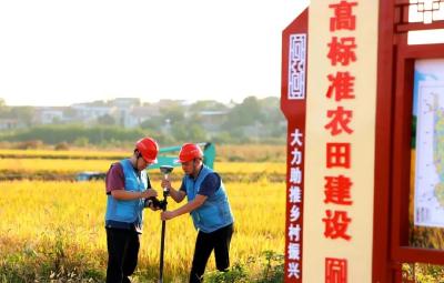 孝昌：高标准农田也玩“高科技”