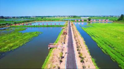 孝昌：全力打造“畅安舒美”路域环境