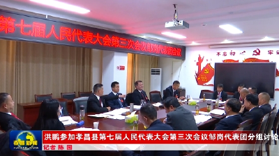 洪鹏参加孝昌县第七届人民代表大会第三次会议邹岗代表团分组讨论