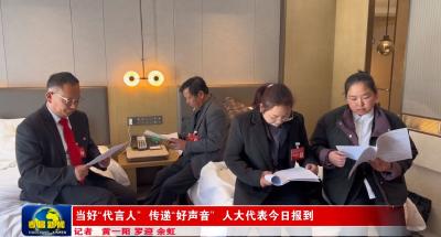 当好“代言人”传递“好声音” 人大代表今日报到