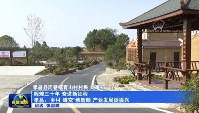 孝昌：乡村“蝶变”焕新颜 产业发展促振兴