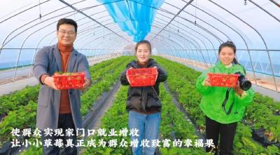草莓抢“鲜”上市 共享“莓”好时光