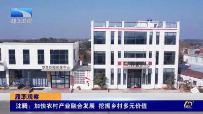 省人大代表沈腾：加快农村产业融合发展 挖掘乡村多元价值