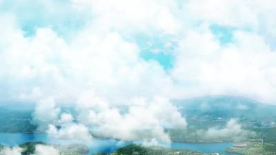 文磊：创新托起“铜业梦”  建言为民谋福祉