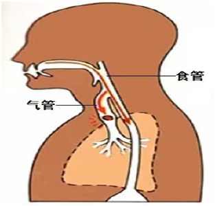 120国家急救日——关爱生命，“救”在身边