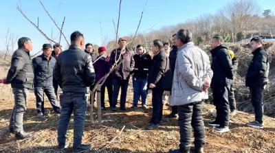 孝昌观音湖：农技下乡 助力“一村一品”产业发展
