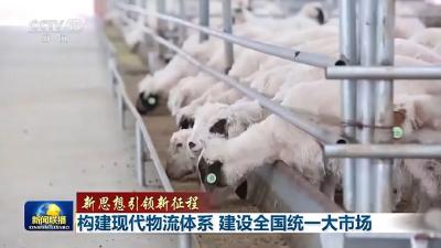 在家门口和全世界做生意！越织越密的物流网络迸发蓬勃活力