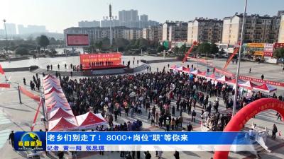 老乡们别走了！8000+岗位“职”等你来