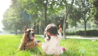 多晒晒太阳吧，真的能让你更快乐！