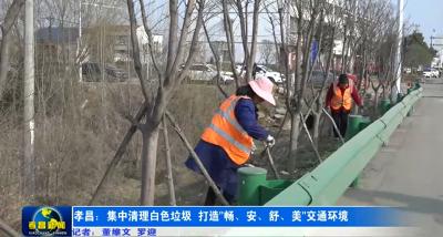 孝昌：集中清理白色垃圾 打造