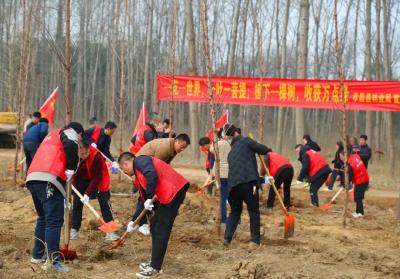 孝昌：植树正当时 万株新绿美城乡