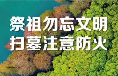 @孝昌人 文明祭扫 平安清明